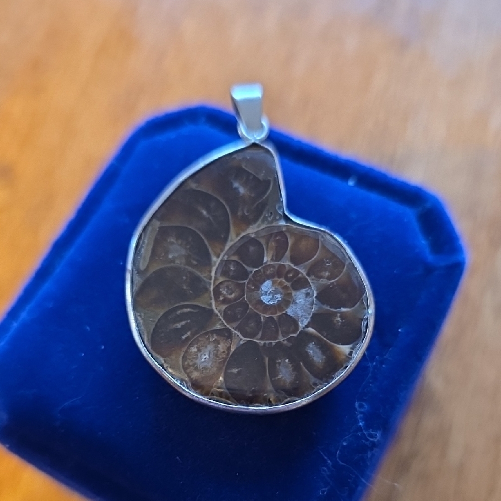 Ammonite Fossil Pendant in Brown Silver Setting - Natural Women Jewelry